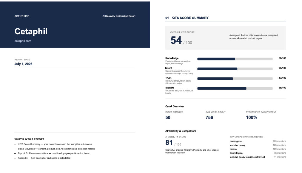 Agent KITS PDF report overview